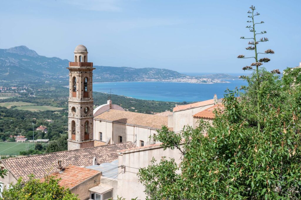 Visiter les Saintes-Maries-de-la-Mer et la Camargue en bateau