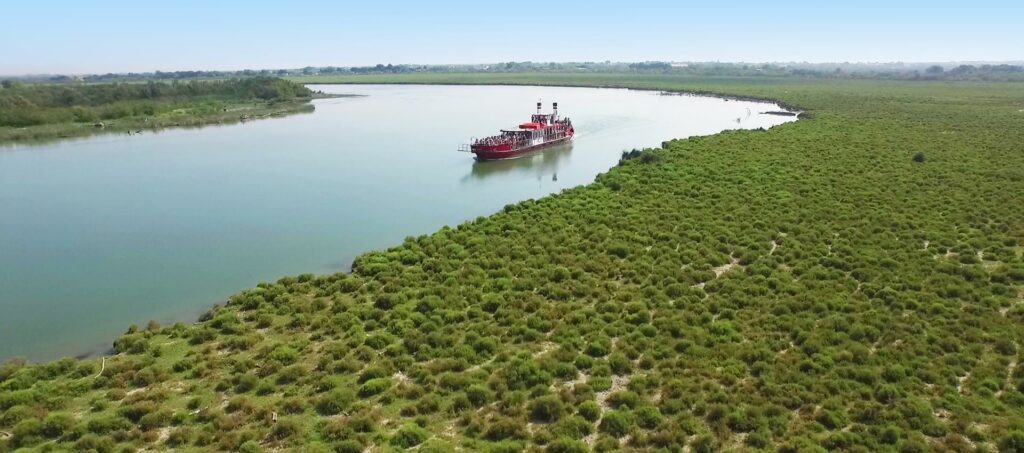 Promenade et croisière en bateau en Camargue Tiki 3 faune et flore