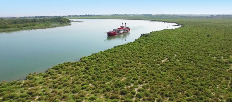 Promenade et croisière en bateau en Camargue Tiki 3 faune et flore