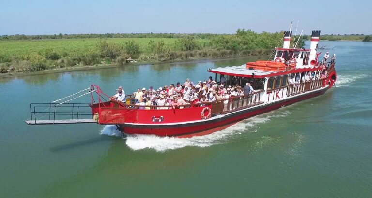 Promenade et croisière en bateau en Camargue Tiki 3 faune et flore